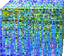 Feed Optimization