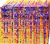 Big data